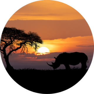 Typical African Scenery, Silhouette Of Rhinoceros Sticker