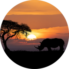Typical African Scenery, Silhouette Of Rhinoceros Sticker