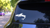 Ugly Shark Sticker on a Rear Car Window (New) example