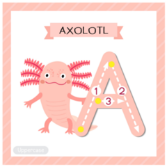 Uppercase A Axolotl Sticker