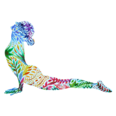 Upward Facing Dog Yoga Pose Colorful Sticker