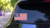 USA Flag Gun Control Sticker on a Rear Car Window (New) example