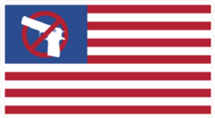 USA Flag Gun Control Sticker
