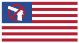 USA Flag Gun Control Sticker