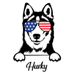USA Glasses Husky Sticker