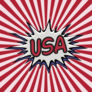 USA Pop Art Sticker