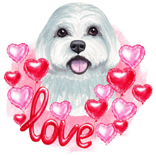 Valentine Maltese Sticker