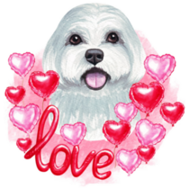 Valentine Maltese Sticker