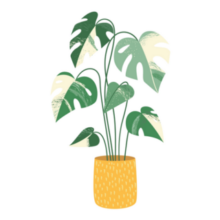Variegated Monstera Tropical Indoor Potted Plant Sticker