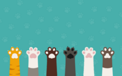 Variety Of Cat Paws Sticker