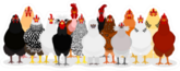 Various Chicken Group Sticker