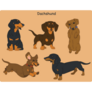 Various Dachshunds Sticker Sheet