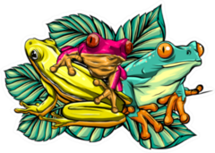 Various Frogs Cartoon Illustration Sticker