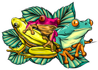 Various Frogs Cartoon Illustration Sticker