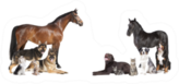 Various Pets And Horses As A Collage Sticker