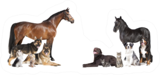 Various Pets And Horses As A Collage Sticker