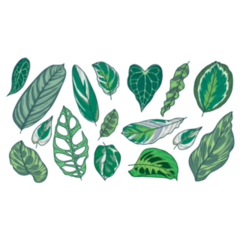 Various Tropical House Plant Leaves Illustration Sticker