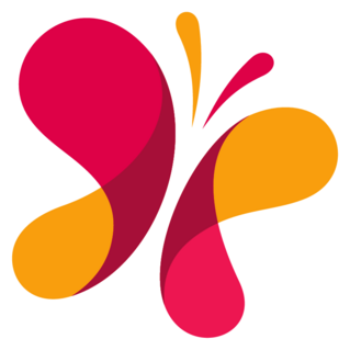 Vector Butterfly Abstract Logo