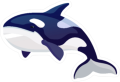 Vector Cartoon Killer Whale Sticker