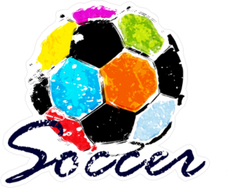 Vector Grunge Color Full Soccer Ball Sticker