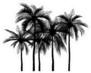 Vector Of Palm Tree Silhouette Icons Sticker