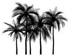 Vector Of Palm Tree Silhouette Icons Sticker
