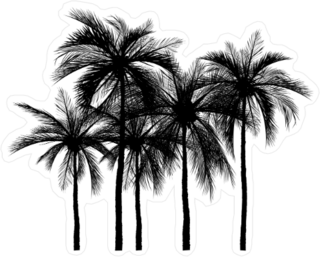 Vector Of Palm Tree Silhouette Icons Sticker