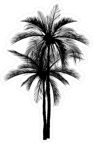 Vector Of Palm Tree Silhouette Sticker