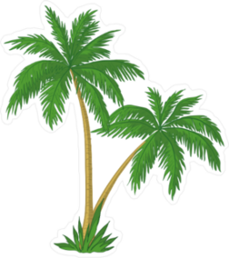 Vector Palm Trees With Green Leaves Sticker