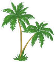 Vector Palm Trees With Green Leaves Sticker