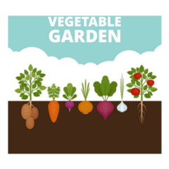 Vegetable Garden Banner Sticker