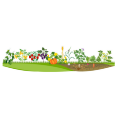 Vegetable Garden Harvest Time Sticker