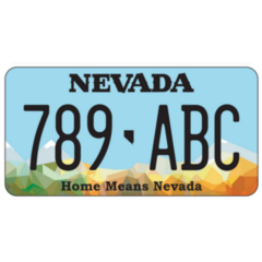 Vehicle Licence Plate Nevada Sticker