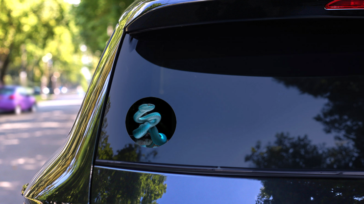 Venomous Viper Snake - Reptile/snake Blue Sticker on a Rear Car Window (New) example