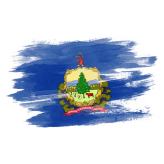 Vermont State Flag Brush Stroke Sticker