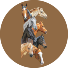 Vertical Postcard With Portraits Of Horses Breeds Brown Sticker