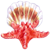 Vibrant Shell Starfish Sticker