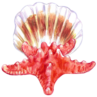 Vibrant Shell Starfish Sticker