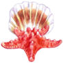 Vibrant Shell Starfish Sticker