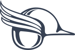 Viking Helmet with Wings Sticker