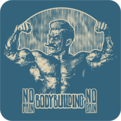 Vintage Bodybuilder No Pain No Gain Sticker