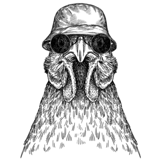 Vintage Engraving Rooster In Hat Sticker