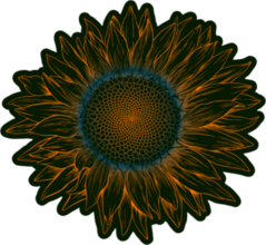 Vintage Engraving Sunflower Sticker