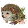 Vintage Hedgehog Sticker