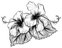 Vintage Hibiscus Illustration Sticker