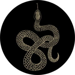 Vintage Line Snake Illustration Sticker