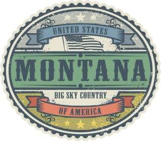 Vintage Montana Sticker