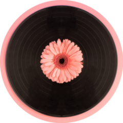 Vintage Music Record And Pink Flower Sticker