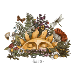 Vintage Nature Celestial Sun Sticker