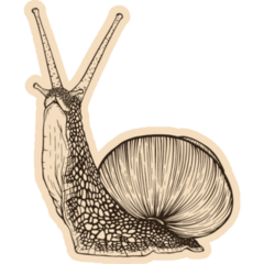 Vintage Snail Brown Sticker 